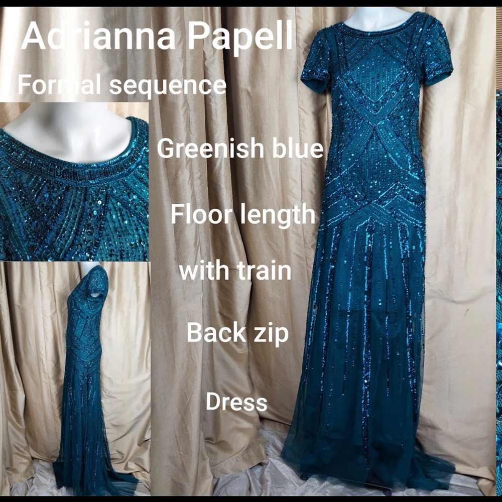 Adrianna Papell Jade/Hunter Sequin Dress (4)
